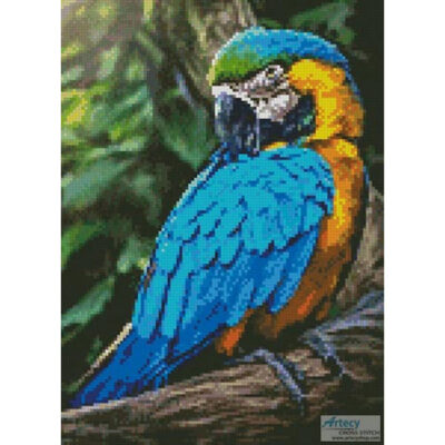 Mini Macaw Profile (Surya Dharma)
