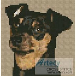 Mini Miniature Pinscher (www.photostogo.com)