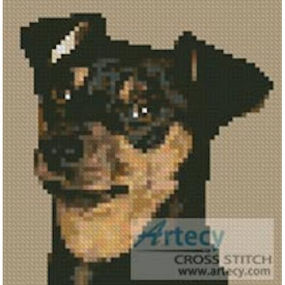 Mini Miniature Pinscher (www.photostogo.com)