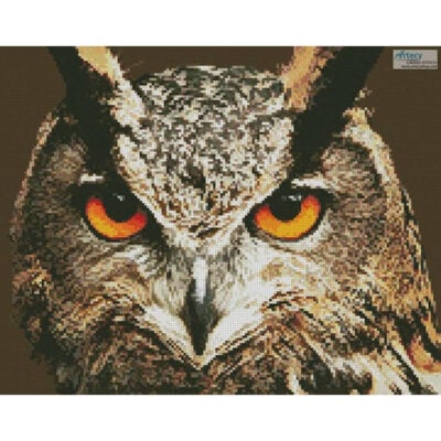 Mini Owl Close Up (Chracker Heller)