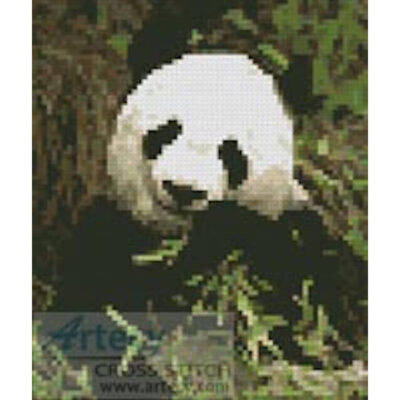 Mini Panda (www.photos.com)