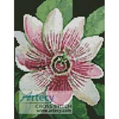 Mini Passion Flower