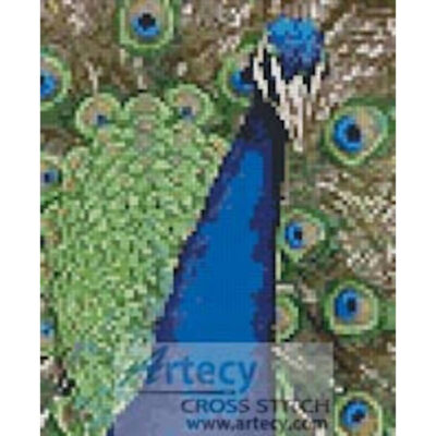 Mini Peacock 1 (www.wpclipart.com)