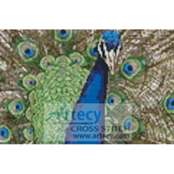 Mini Peacock 2 (www.wpclipart.com)