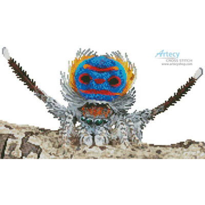 Mini Peacock Spider (Jurgen Otto)