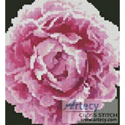 Mini Peonie