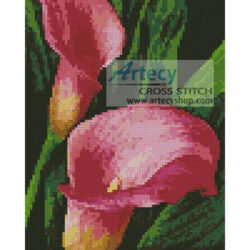 Mini Pink Calla Lilies (John Anderson - Fotolia)