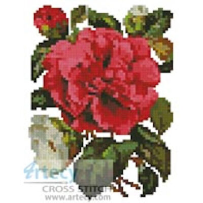 Mini Pink Camellia