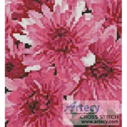Mini Pink Chrysanthemums (LadyofOz)