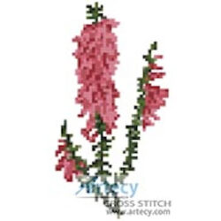 Mini Pink Heath Flowers