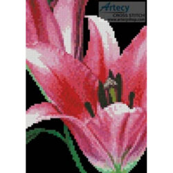 Mini Pink Lily (Pauline Mills)