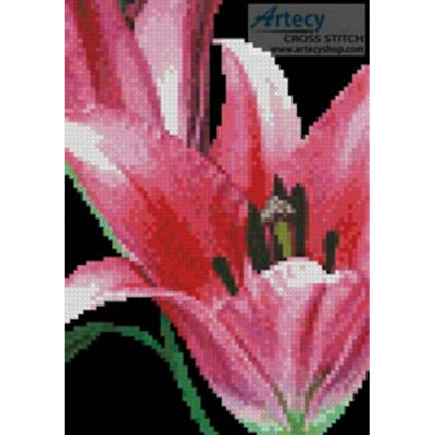 Mini Pink Lily (Pauline Mills)