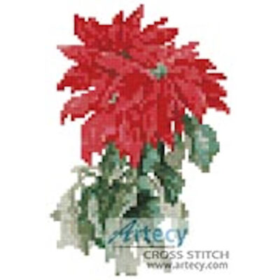 Mini Poinsettia