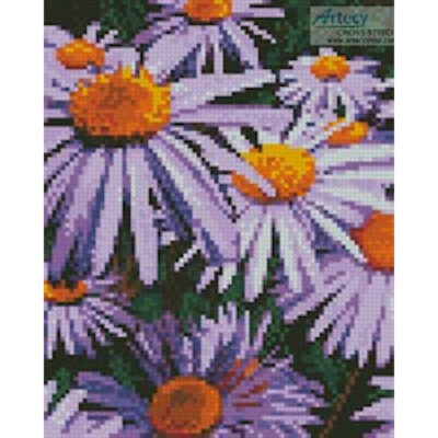 Mini Purple Daisies (Pixabay)