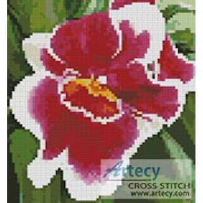 Mini Red and White Orchid (LadyofOz)