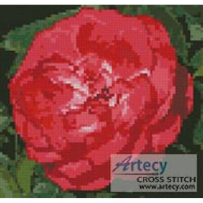 Mini Red Camellia