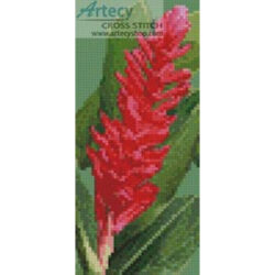 Mini Red Ginger Blossom (Belizian)