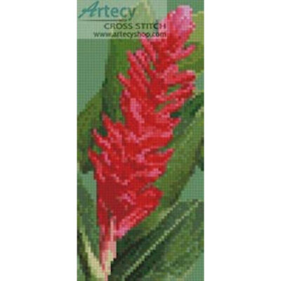 Mini Red Ginger Blossom (Belizian)