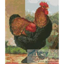Mini Rooster 2