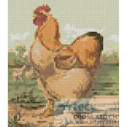 Mini Rooster 3