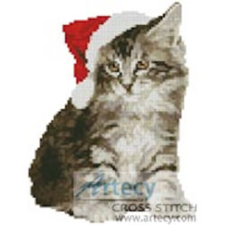 Mini Santa Cat (Sarah Newton - Image Vortex)