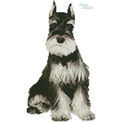 Mini Schnauzer 2 (www.photostogo.com)