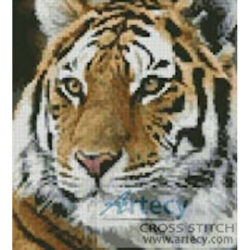 Mini Siberian Tiger (Alain Tugeon - Custcaster)