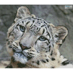 Mini Snow Leopard 3 (Marcel Langthim - Pixabay)