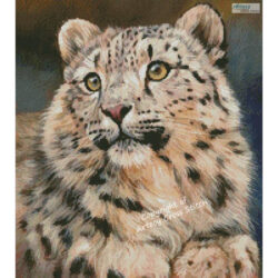 Mini Snow Leopard 6 (David Stribbling)
