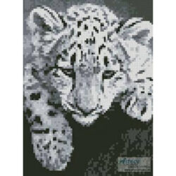 Mini Snow Leopard Cub (milhail1981 - Fotolia)