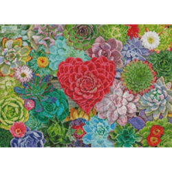 Mini Succulent Love (Lars Stewart)