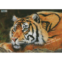 Mini Sumatran Tiger Resting (David Stribbling)