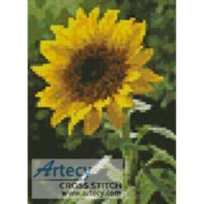 Mini Sunflower (http://www.pdphoto.org)