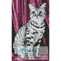 Mini Tabby (www.photos.com)