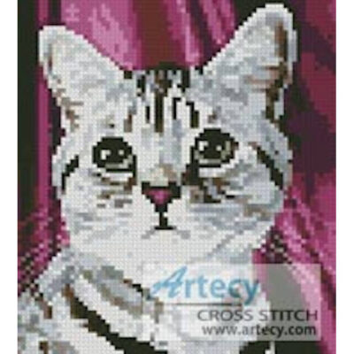 Mini Tabby Face (www.photos.com)