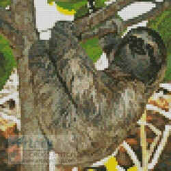 Mini Three Toed Sloth (hotshotsworldwide - Fotolia)