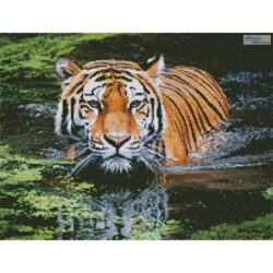 Mini Tiger in Swamp (Andreas Breitling)