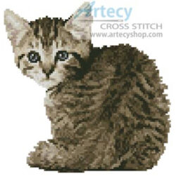 Mini Timid Kitten (Michael Kloth - Corbis)