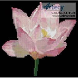 Mini Water Lily (C Stoehr)