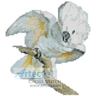 Mini White Cockatoo (Aert Schouman)