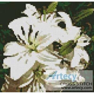 Mini White Lilies Photo