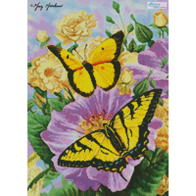 Mini Yellow Butterflies (Greg Giordano)