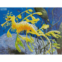 Mini Yellow Leafy Sea Dragon (Mary Palmer)