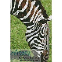 Mini Zebra Eating (Michael Ponton)