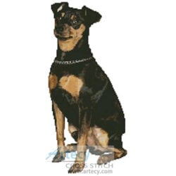 Miniature Pinscher (www.photostogo.com)