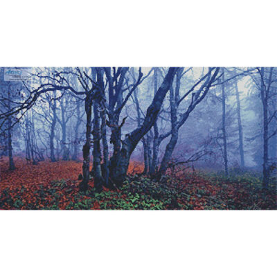 Misty Forest (Brigitte Werner - Pixabay)