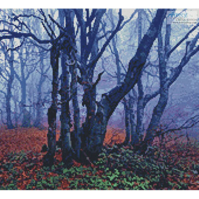 Misty Forest (Crop) (Brigitte Werner - Pixabay)