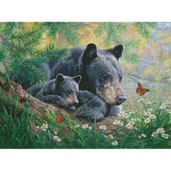 Moment of Wonder (Abraham Hunter)