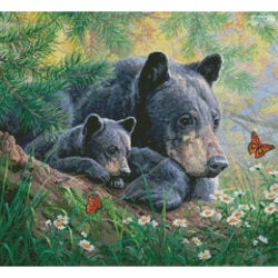 Moment of Wonder (Crop) (Abraham Hunter)