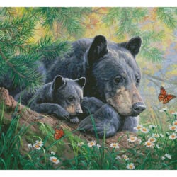 Moment of Wonder (Large) (Abraham Hunter)